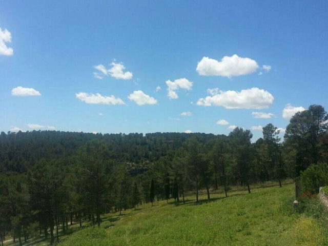  Alarcon natural area 
